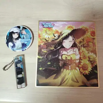 프로세카 시라이시 안 3세트