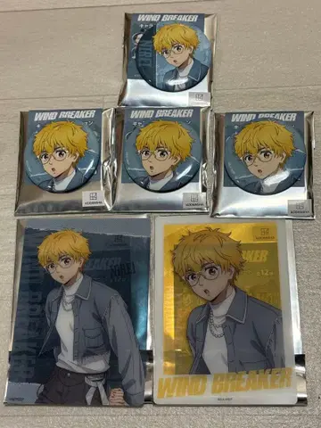 니이 아키히코 쿨 데님