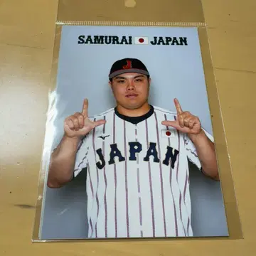 사무라이 재팬 브로마이드 다이라 카이마 사이타마 세이부 라이온즈