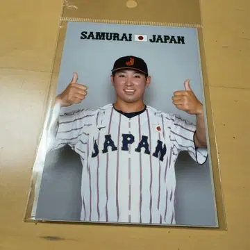 사무라이 재팬 브로마이드 후지히라 쇼신 도호쿠 라쿠텐 골든 이글스