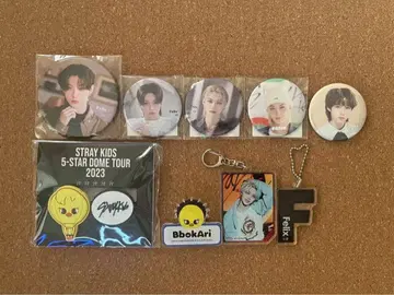 straykids 필릭스 세트