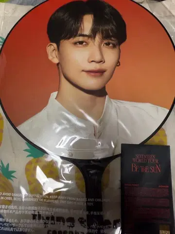 SEVENTEEN BE THE SUN 부채 정한 JEONGHAN