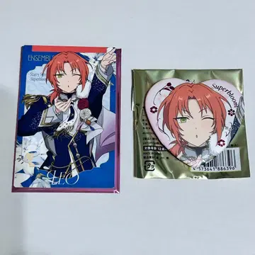 스타포니 츠키나가 레오 캔뱃지 카드 컬렉션