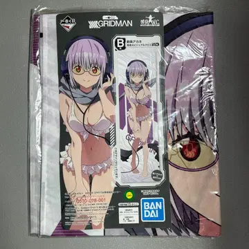 그리드맨 비주얼 크로스 신조 아카네