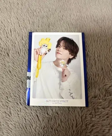 BUTTERFLY EFFECT FANTASTICS 나카지마 소우타 시크레