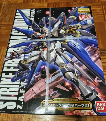 1/100 ZGMF-X20A 스트라이크 프리덤 건담