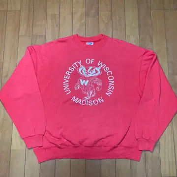 80s 90s USA Hanes 맨투맨 칼리지 헤인즈