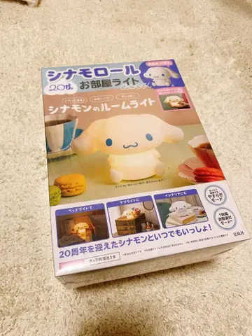 시나몬 방 조명