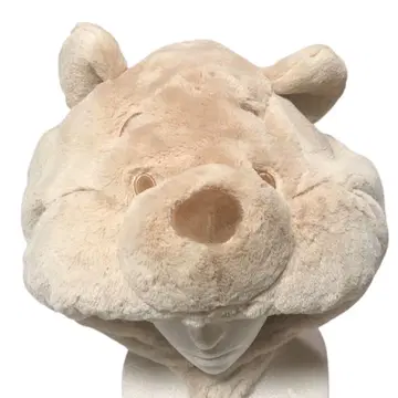 디즈니 푸우 팬캡