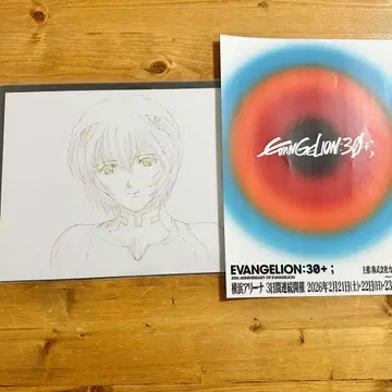 당일 발송 30주년 기념전 ALL OF EVANGELION 클리어 파일