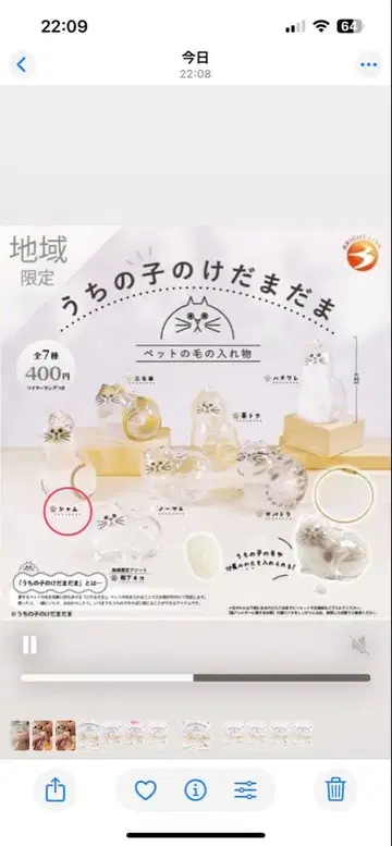 [정품] 우리 아이 털뭉치 샴 4개