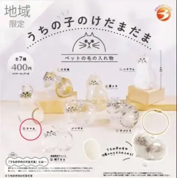 [정품] 우리 아이 털뭉치 샴 4개