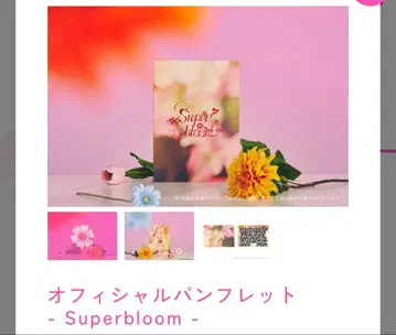 스타포니 팜플렛