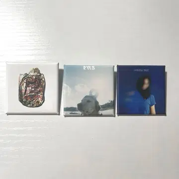 RADWIMPS 빅 에코 캔뱃지 3점