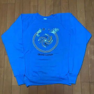 70s 80s USA Healthknit 맨투맨 네이티브 무늬