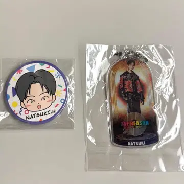 호리 나츠키 EXILE 캔 배지 키링 세트