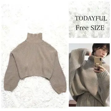 TODAYFUL 버키리 오버 니트 터틀넥 프리 사이즈
