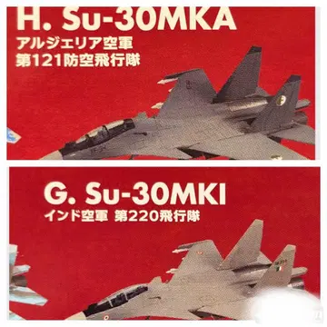 프커 패밀리 2 인도 공군, 알제리 공군 2개 세트