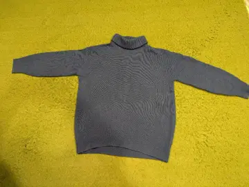 블루 계열 터틀넥 니트 긴팔