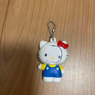 산리오 캐릭터즈 사진 프레임 마스코트 키티