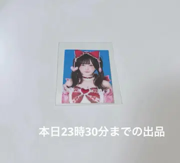 니게미즈 아뮤 큐루링 해봐 증명사진