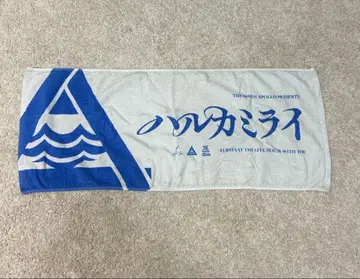 하루카미라이 타월