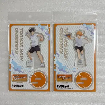 하이큐 물놀이 아크릴 스탠드 아크스타 히나타 쇼요 카게야마 토비오