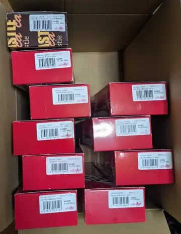 리카짱 캐슬 빈 박스 신발 포함 10개 상자