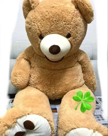BIG 곰돌이