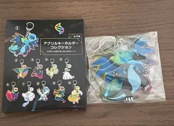 포켓몬 아크릴 키링 메가진화 메가리자몽X