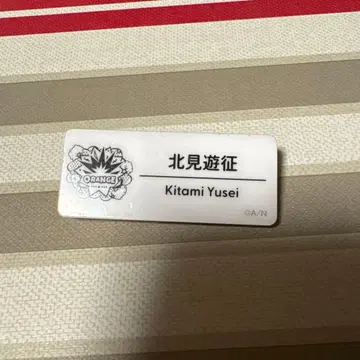 키타미 네임 배지