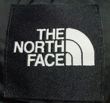 THE NORTH FACE Antarctica Parka 다운 자켓