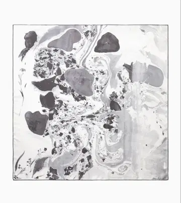 mame kurogouchi 실크 스카프 미사용 새상품