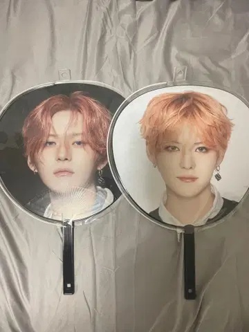 treasure 요시 부채 4개 세트 HELLO Wonderland