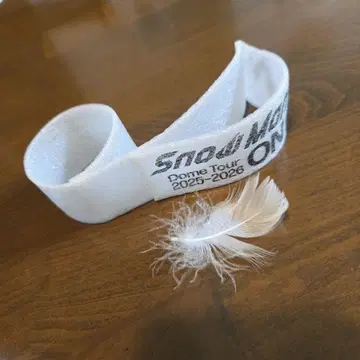 Snow Man Dome Tour 2025-2026 온고지신