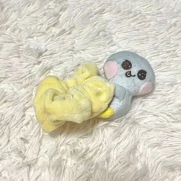 RIIZE 은석  스크런치