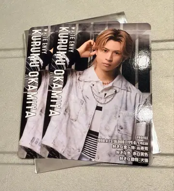 오카미야 라이무 액터즈 리그 브레인 틀린 그림 찾기 카드