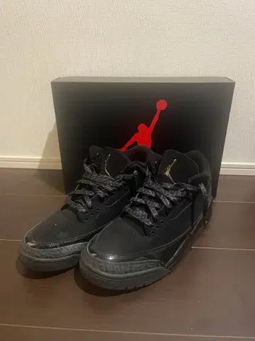 조던 3 블랙캣 27.5cm