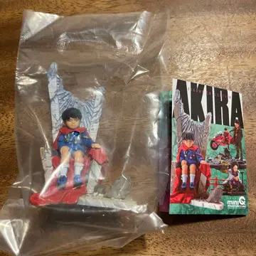 AKIRA 카이요도 아키라 봉투 미개봉