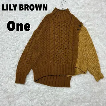 릴리 브라운 하프 케이블 니트탑