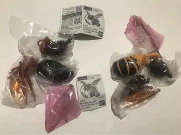 새상품 가챠 생물대도감 말벌 02 히메말벌 차이로말벌