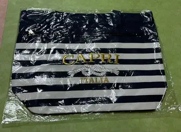 CAPRI 스트라이프 토트백