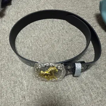 장식 버클의 블랙 벨트