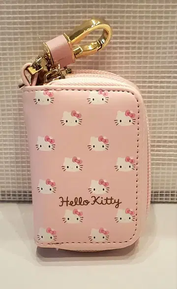 헬로키티 더블 키케이스 산리오