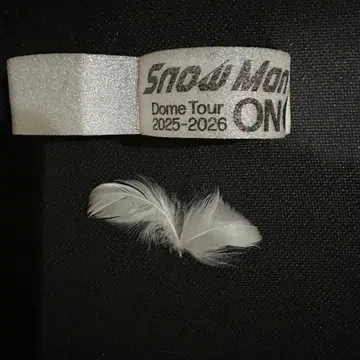 SnowMan Dome Tour 낙하물
