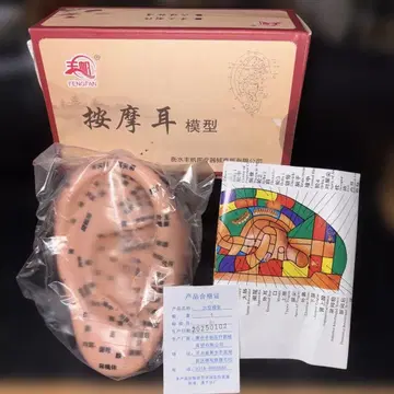 귀점 마사지용 플라스틱 모형, 사이즈 17cm 귀점 피규어