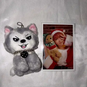 초특급 슈야 마스코트 슈가루 생탄 봉제 인형 덤 브로마이드 포함