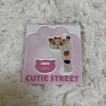 사쿠라바 하루카 아크릴 스탠드 고양이 인형옷