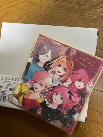 아토레 아키하바라 5등분의 신부 미니 색지 전원 집합