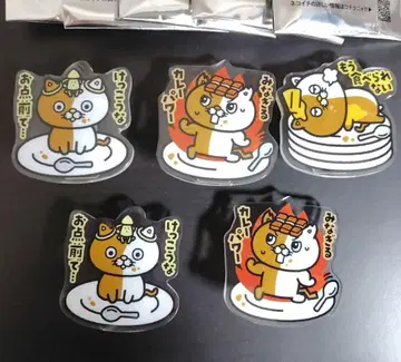 코코이치 네코이치 아크릴 스탠드 클립 5개